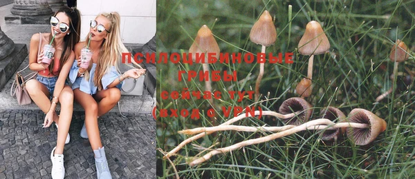 MESCALINE Лабытнанги