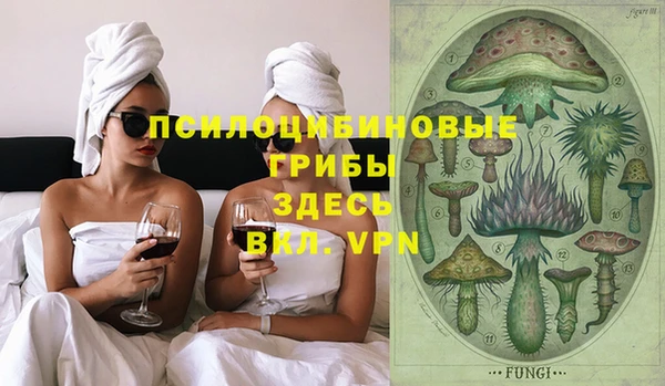 ECSTASY Лагань