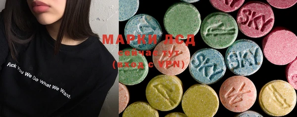 ECSTASY Лагань