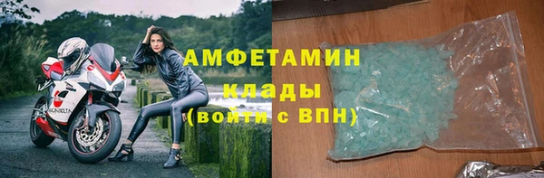 ECSTASY Лагань