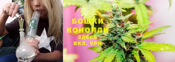 СК Яранск