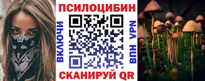 Купить закладки  Вятские Поляны  Псилоцибиновые грибы Psilocybe 